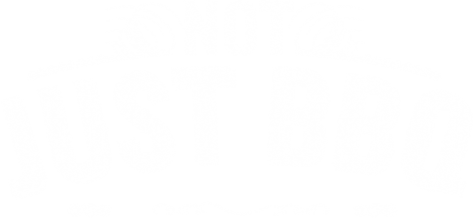 NOT JUST BBQ