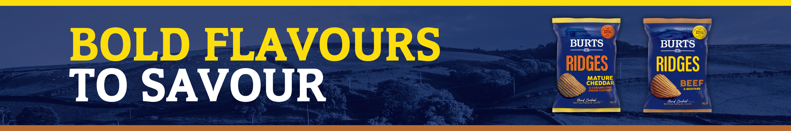 /brands/burts-snacks/