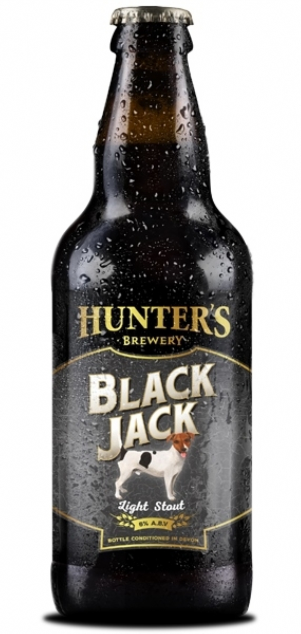 HUNTER'S Black Jack Light Honey Stout 500ml 6.0% ABV