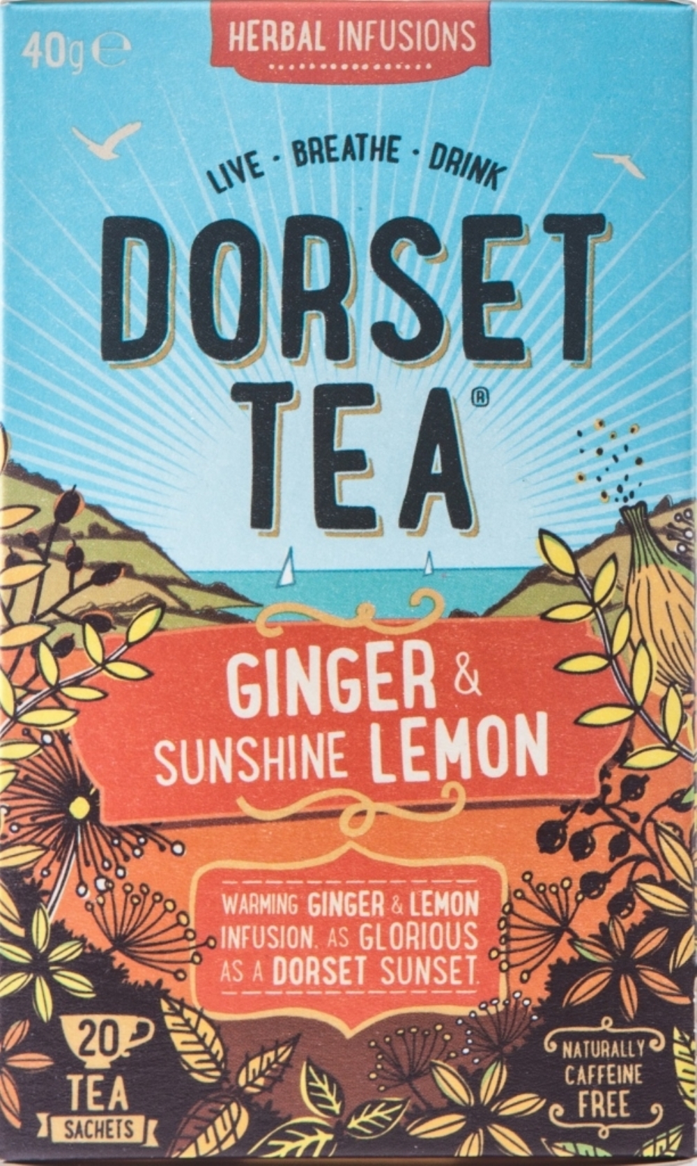 DORSET TEA Ginger & Sunshine Lemon 20 Sachets
