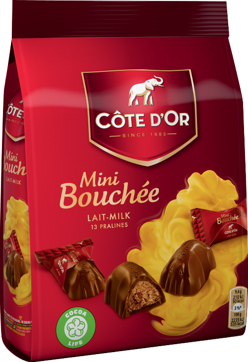 COTE D'OR Milk Chocolate Mini Bouchee 122g