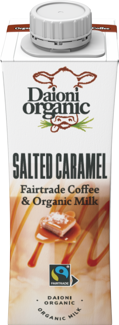 DAIONI Salted Caramel Coffee Drink 250ml