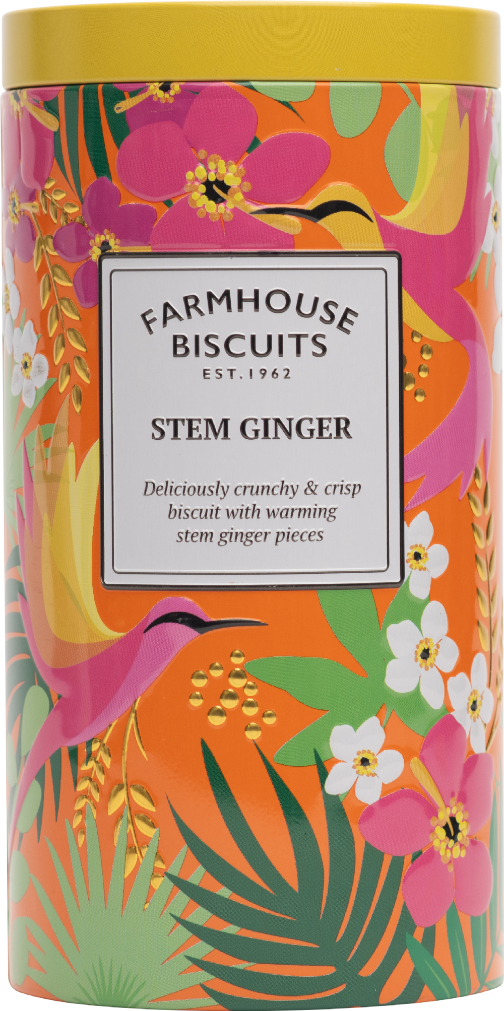 Farmhouse Biscuits Stem Ginger Biscuits in Tropical Bright Tin 200g