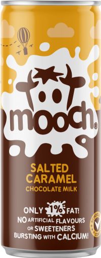 MOOCH Salted Caramel Chocolate Milk 250ml