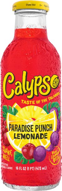 CALYPSO Paradise Punch Lemonade 473ml