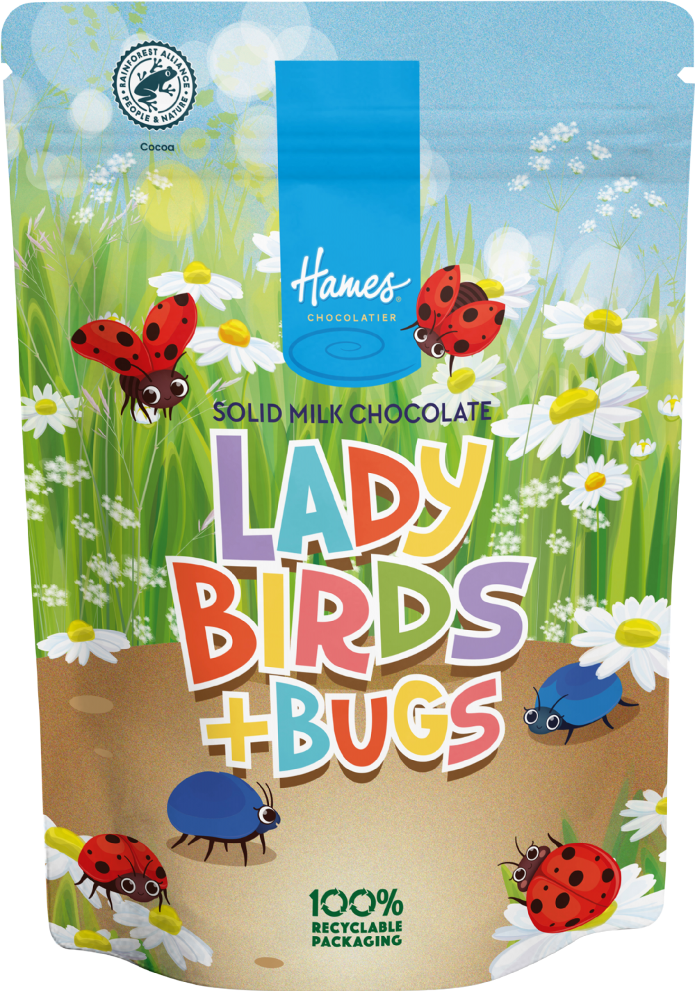 Hames Solid Milk Chocolate Ladybirds & Bugs - Pouch 100g