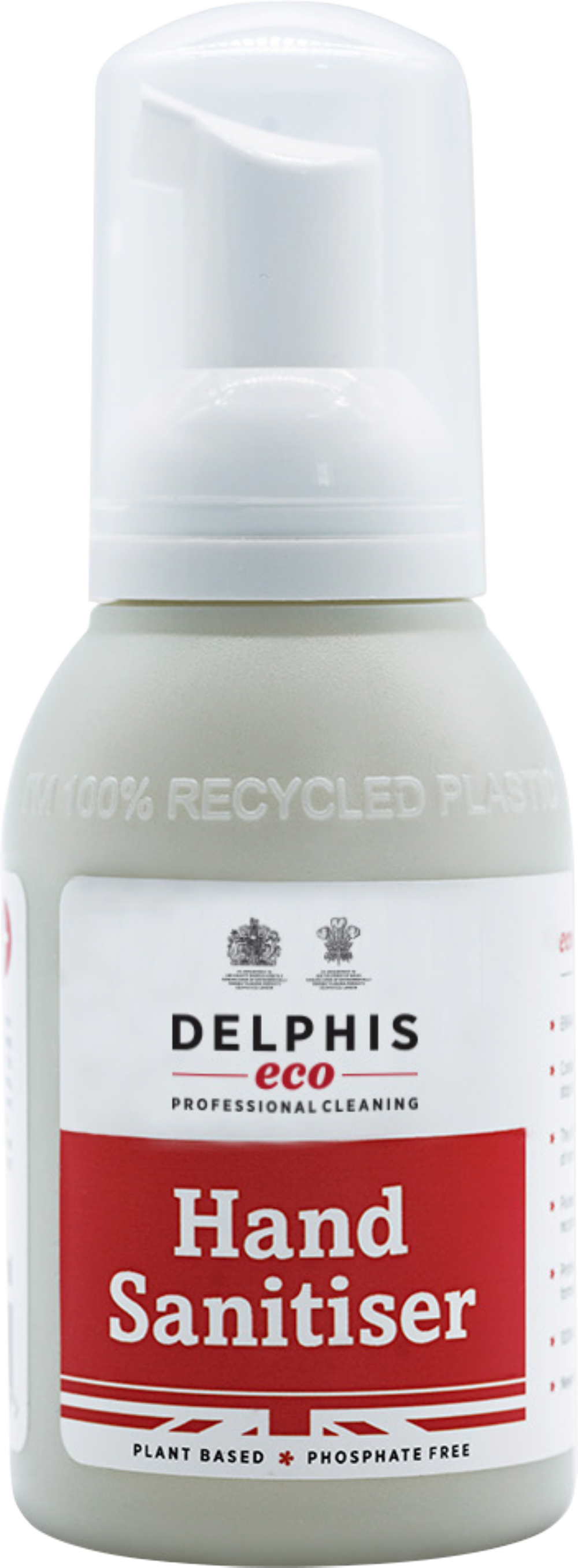 DELPHIS ECO Hand Sanitising Foam 100ml