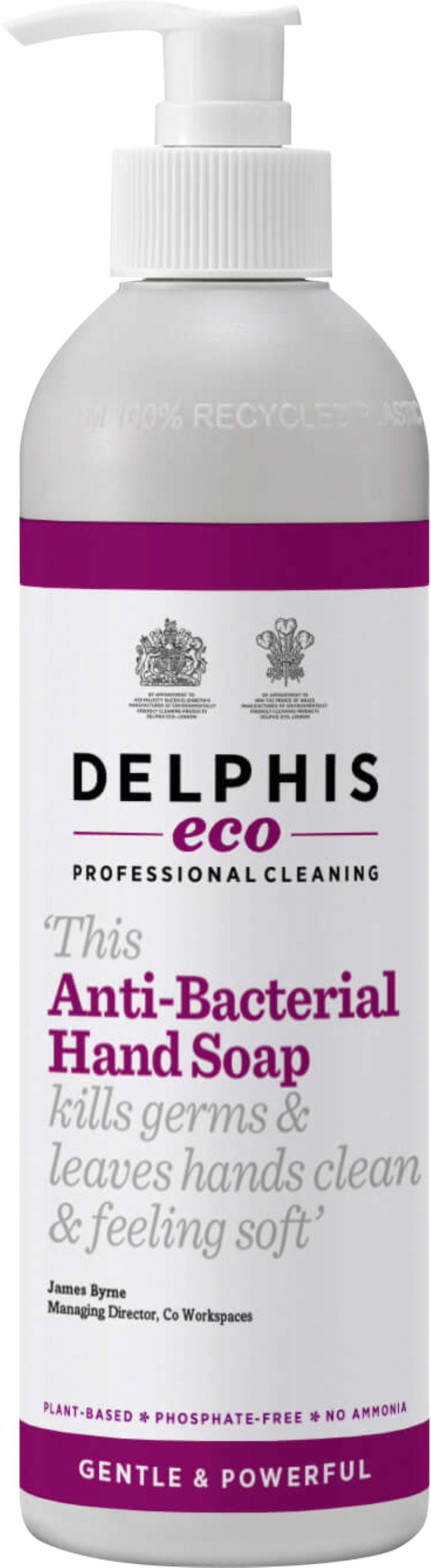 DELPHIS ECO Anti-Bacterial Hand Soap 350ml