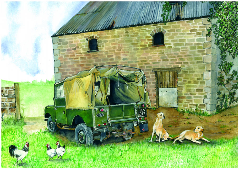 SUE PODBERY LR Series 1 Rear View Card