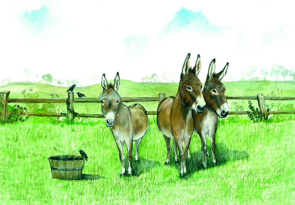 SUE PODBERY Donkeys by Feed Tub Card