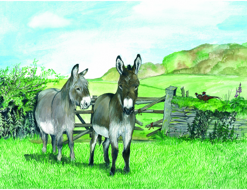 SUE PODBERY Donkeys by Gate Card