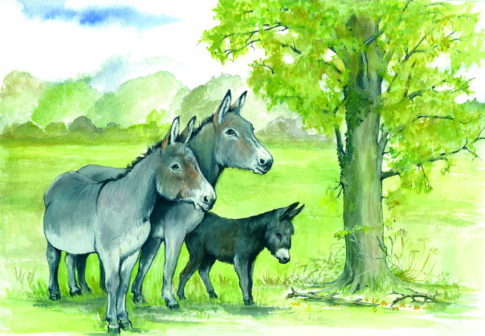 SUE PODBERY Donkeys under Tree Card