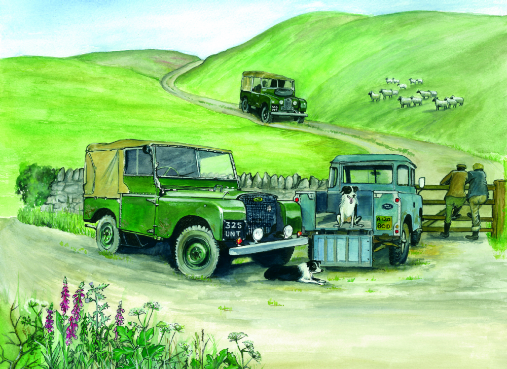 SUE PODBERY Land Rovers on Hillside Card