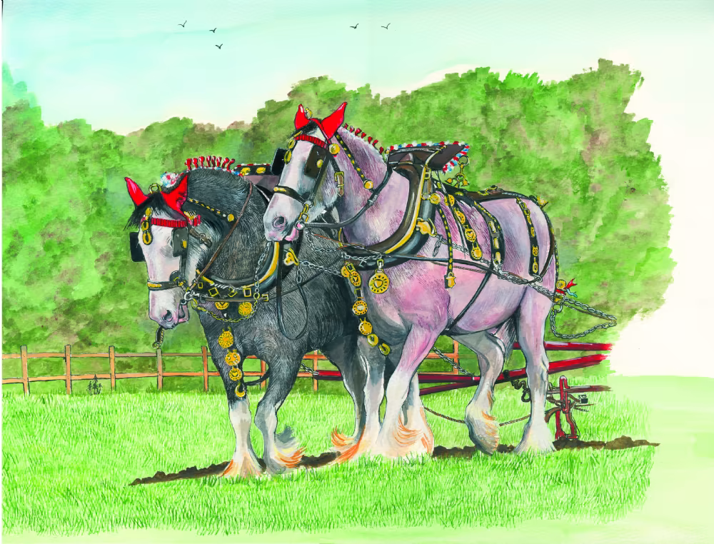 SUE PODBERY Show Day! Card