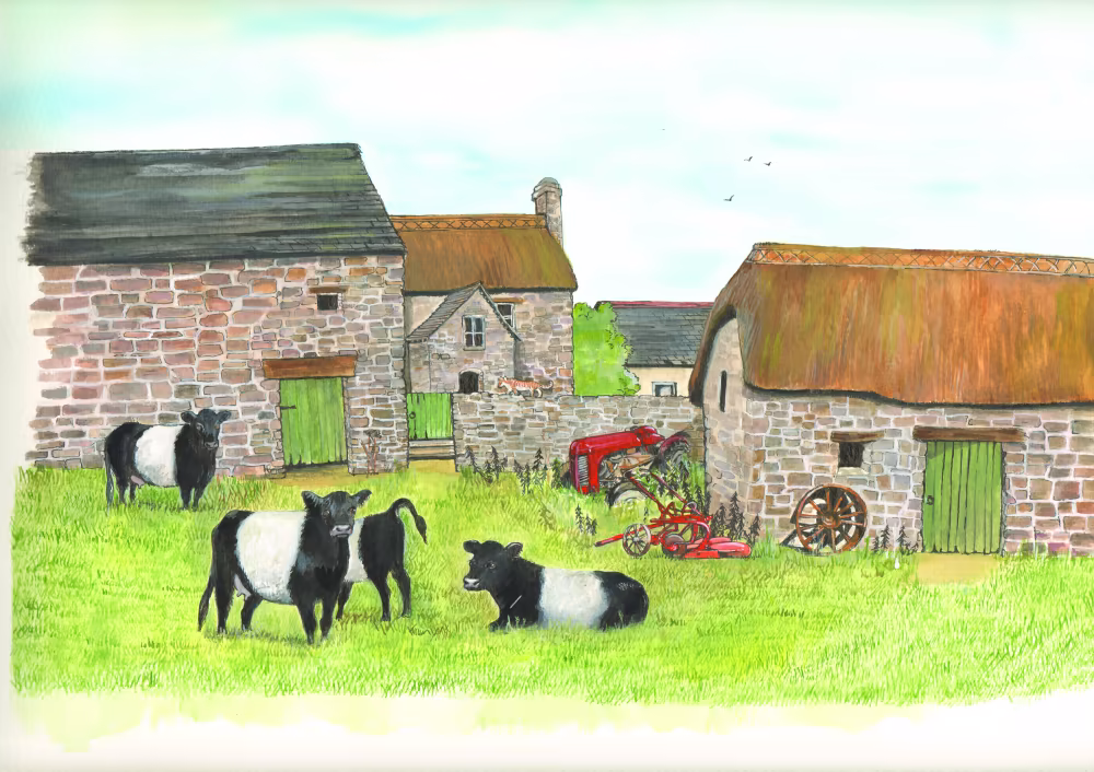 SUE PODBERY Dartmoor Farm + Galloways Card