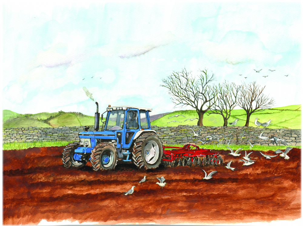 SUE PODBERY Ford 7810 Working Card