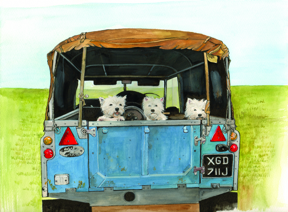 SUE PODBERY Land Rover and Westies Card