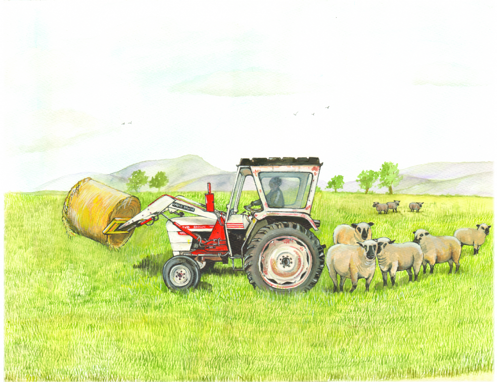 SUE PODBERY David Brown and Sheep Card