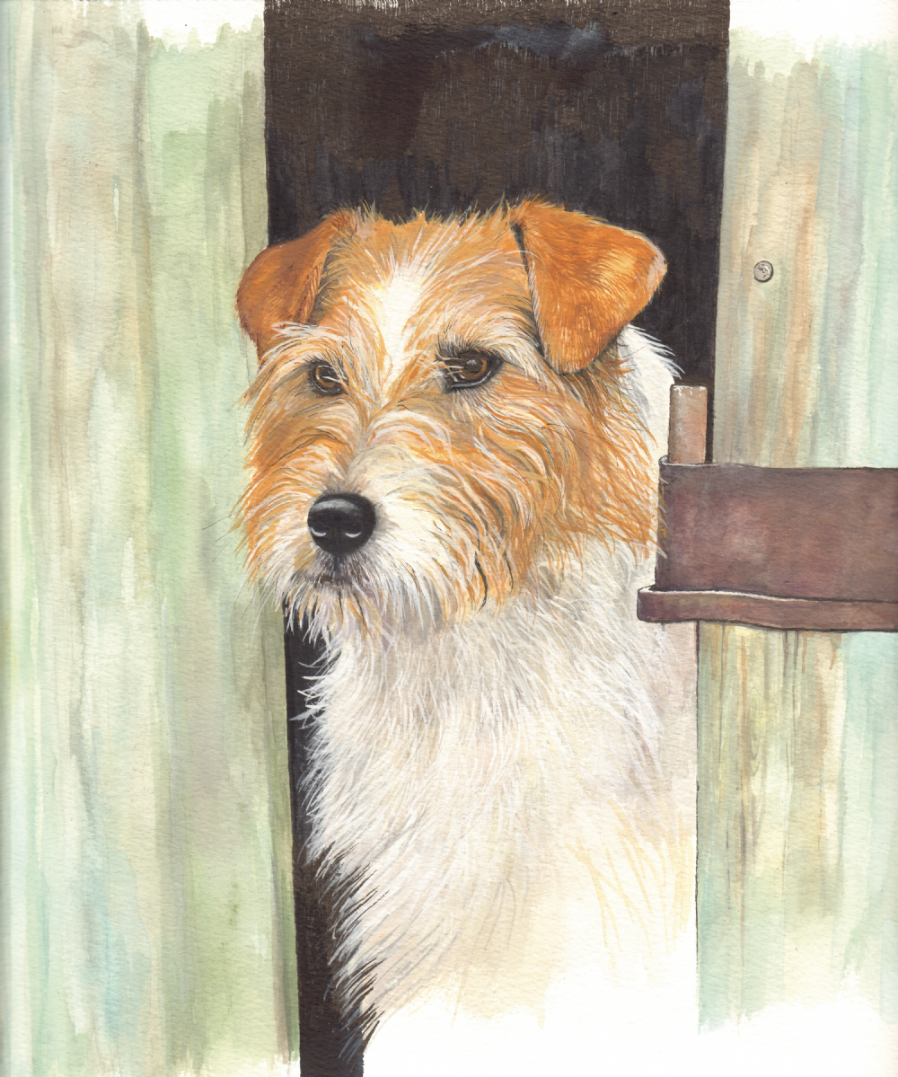 SUE PODBERY Curious Jack Russell Card