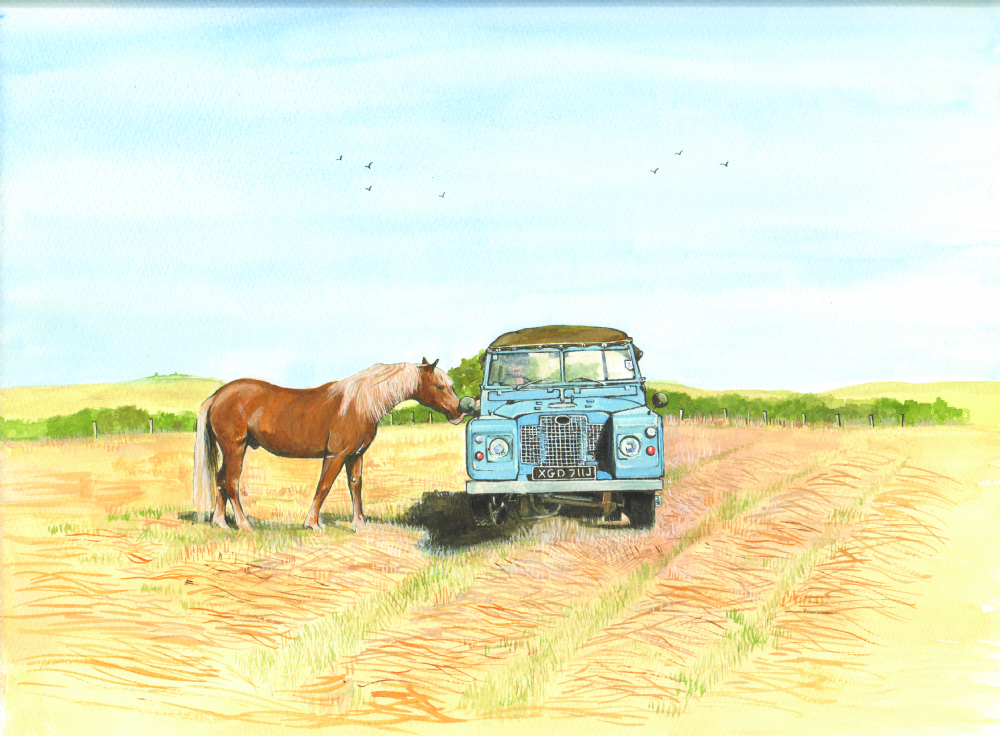 SUE PODBERY Old Friends Card