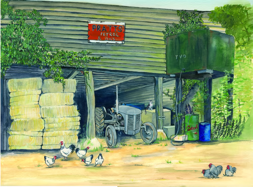 SUE PODBERY Grey Fergie TE20 in Barn Card