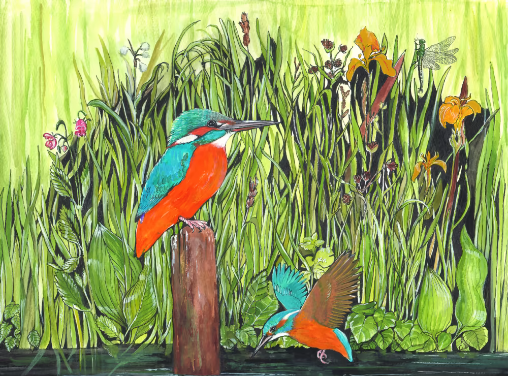 SUE PODBERY Kingfishers Card