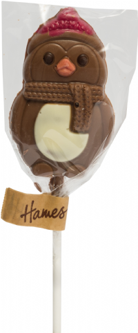 HAMES Milk Chocolate Penguin Lollipop 25g