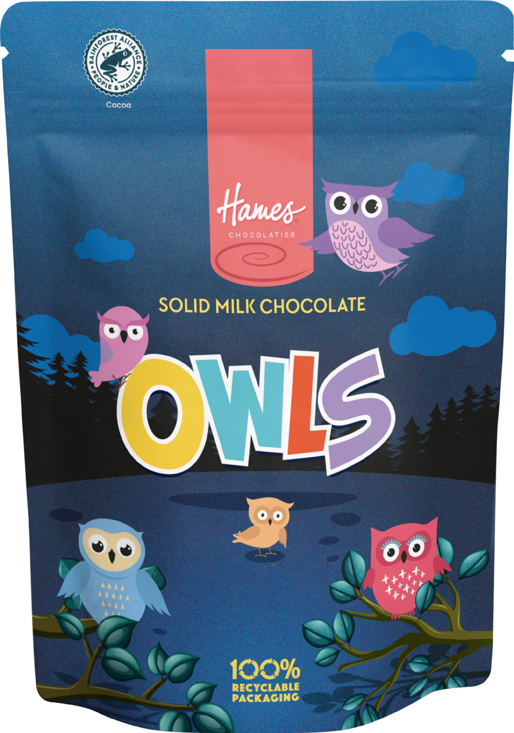 HAMES Solid Milk Chocolate Owls - Pouch 100g