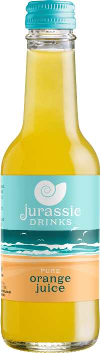 JURASSIC DRINKS Orange Juice 250ml