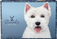 STEWART'S SCOTLAND Wallace the Westie Shortbread Gift Box 150g
