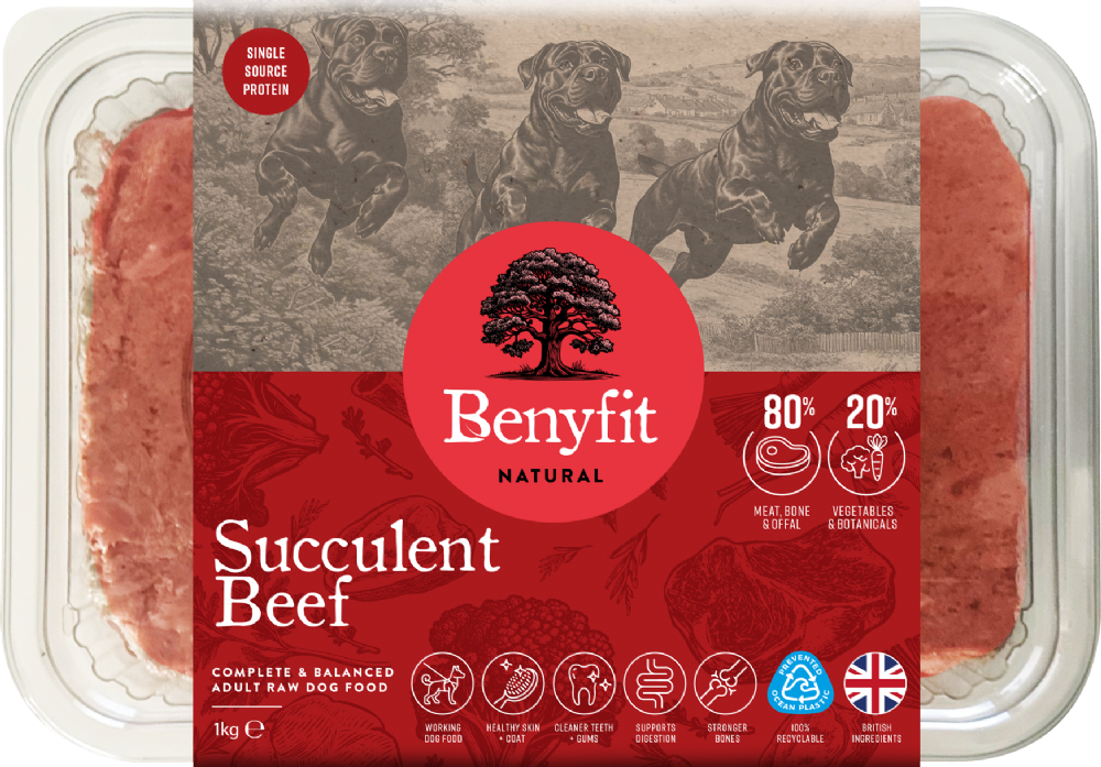 BENYFIT NATURAL Succulent Beef Complete Raw Dog Food 1kg