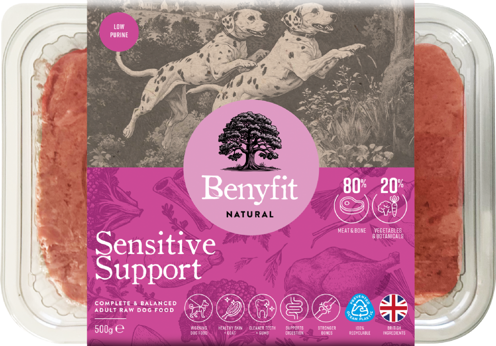 BENYFIT NATURAL Sensitive Complete Raw Dog Food 500g