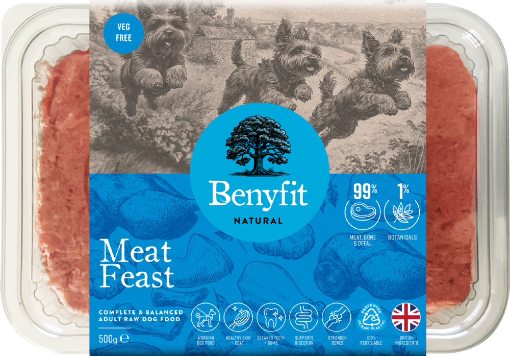 BENYFIT NATURAL Meat Feast Veg Free Complete Raw Dog Food 500g