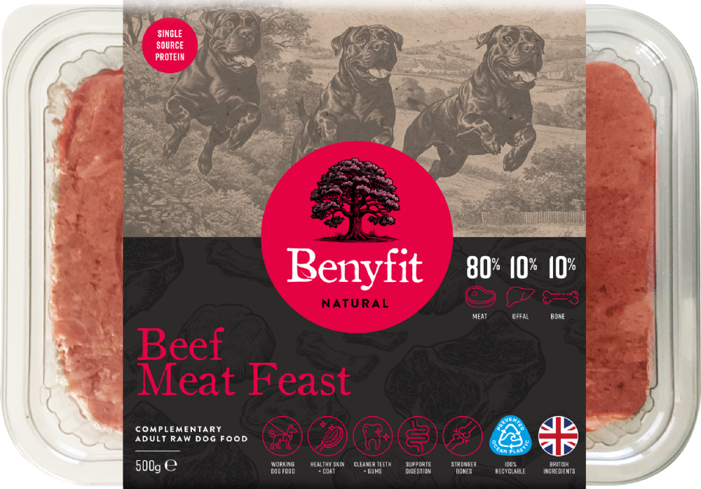 BENYFIT NATURAL Beef Meat Feast 80.10.10 Raw Dog Food 500g